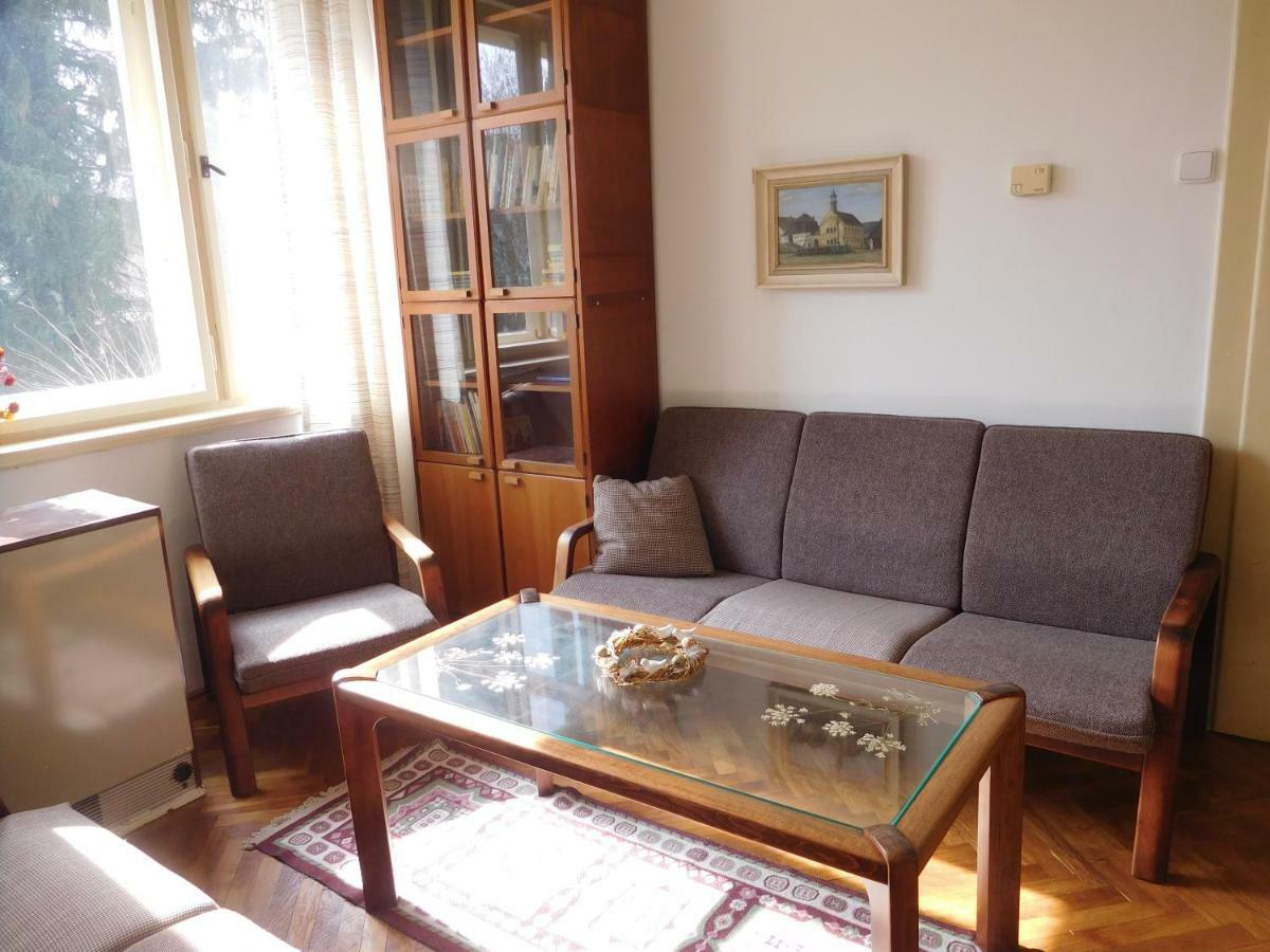 Apartamento Hradiska Jablonné nad Orlicí Exterior foto